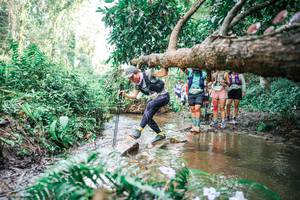 BIB: 
                            <button type="button" onclick="openModal(25516302)" class="btn btn-primary btn-sm float-right btn-popup" data-toggle="modal" data-target=".modal-high-quality">
                        <i class="fas fa-shopping-cart"></i> Add to Cart
                    </button>
                                            <button type="button" onclick="isThisMe(25516302, true)" class="btn btn-success btn-sm float-right btn-popup btn-isme hidden" data-toggle="tooltip" data-placement="bottom" title="นี่คือรูปของคุณใช่ไหม คลิกที่นี่เพื่อเอาเข้าอัลบั้ม">
                        <i class="fas fa-plus"></i> Add to album
                    </button>
                    <button type="button" onclick="isThisMe(25516302, false)" class="btn btn-warning btn-sm float-right btn-popup btn-isnotme hidden">
                        <i class="fas fa-ban"></i> Remove from album
                    </button>